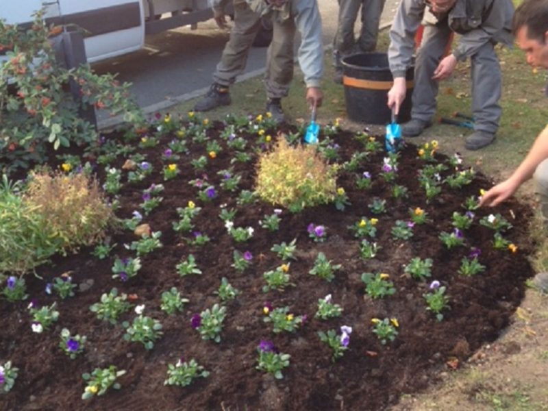 hermagne-creationmassif2