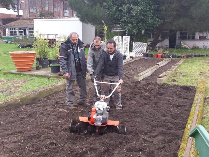 hermagne-motoculteur