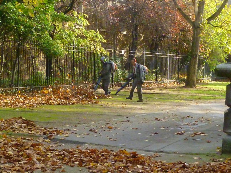 hermagne-ramassagefeuilles