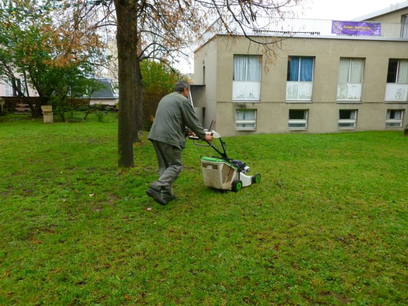 hermagne-tonteterrain2